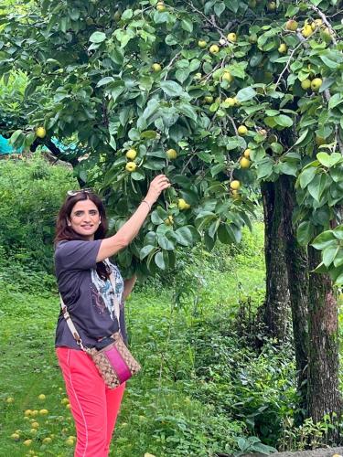 bougainvilla mountain retreat