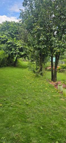 bougainvilla mountain retreat