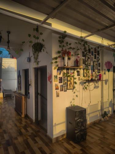 multiple stories udaipur