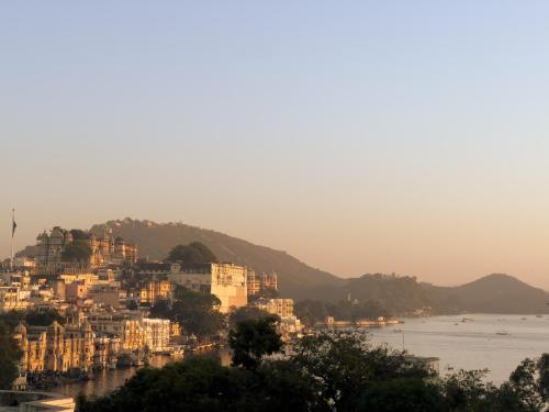 multiple stories udaipur