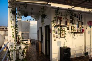 multiple stories udaipur