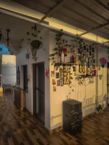 multiple stories udaipur