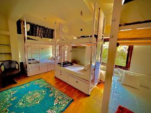 multiple stories udaipur