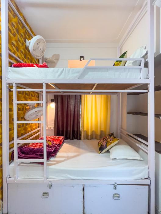 multiple stories udaipur