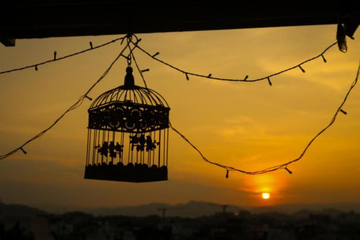 multiple stories udaipur