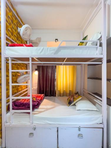 multiple stories udaipur