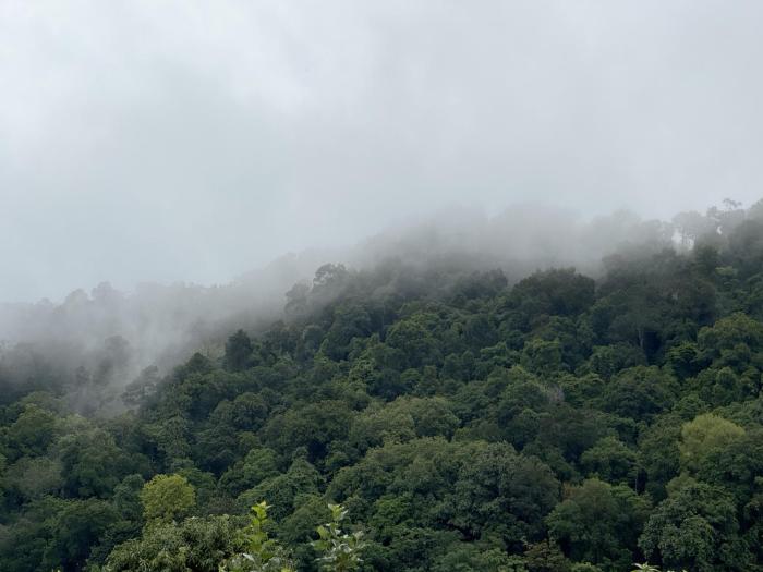abrite house tiny house koh lanta