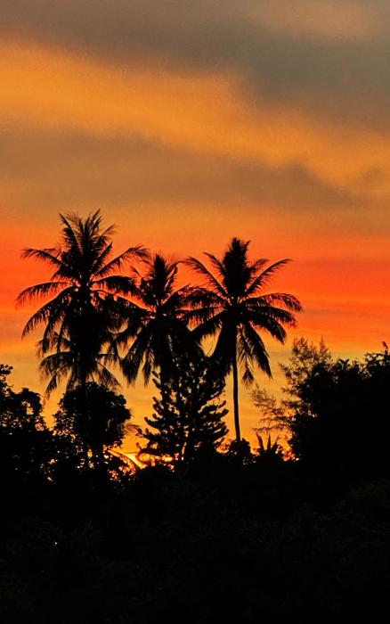 abrite house tiny house koh lanta