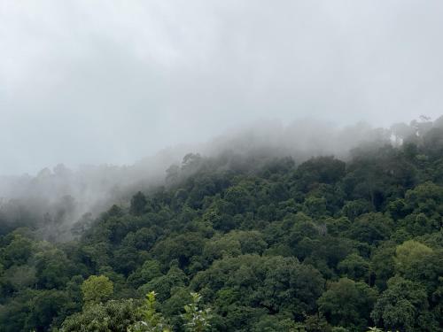 abrite house tiny house koh lanta