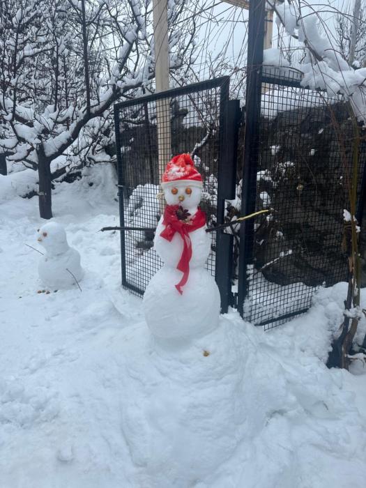 orzu boutique stays burwa manali