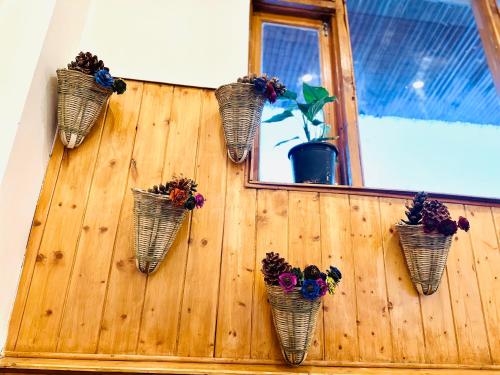 manali