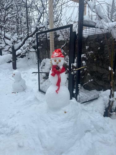 orzu boutique stays burwa manali