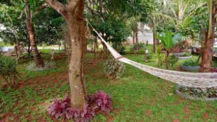 bellevue homestay and wellness center