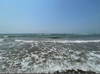 the bodhi tree resort