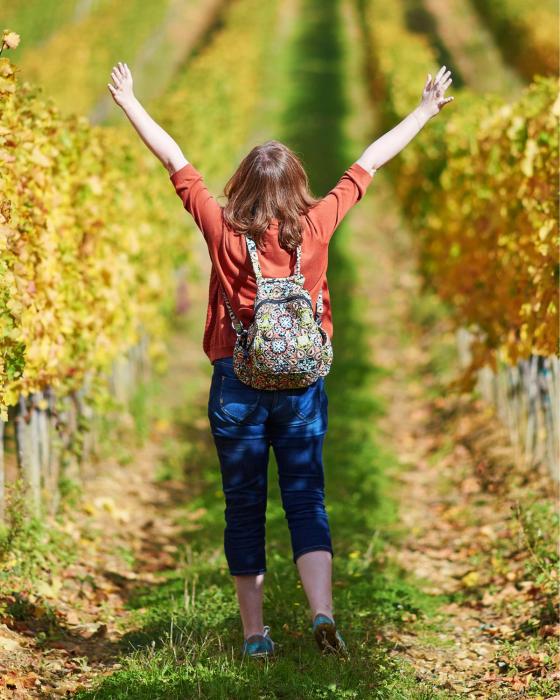 chambre ocean cosy bordeaux saint emilion