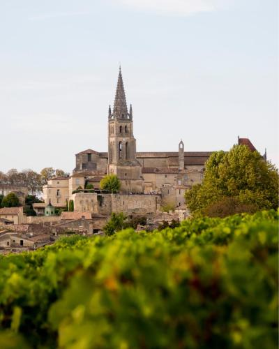 chambre ocean cosy bordeaux saint emilion