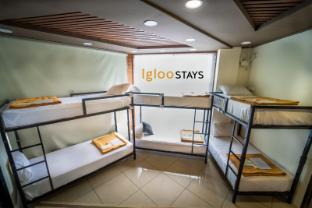 igloo stays edapally