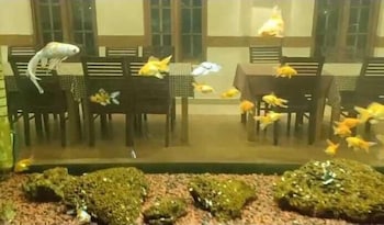 seaflare beach resort and spa