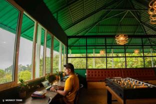 monkey tribe lite munnar