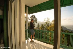 monkey tribe lite munnar