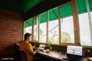 monkey tribe lite munnar