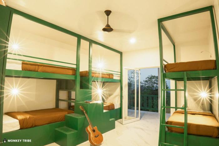 monkey tribe lite munnar