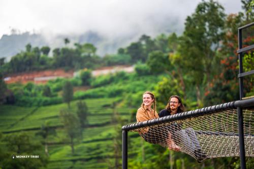 monkey tribe munnar