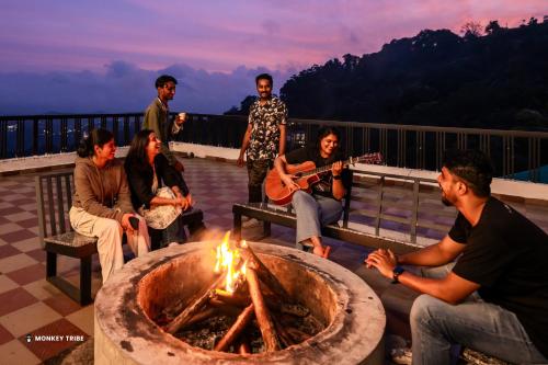monkey tribe munnar