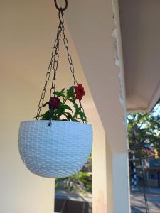 whimsical woods home stay