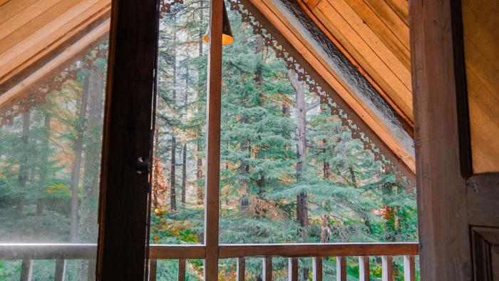 happy returns home jibhi