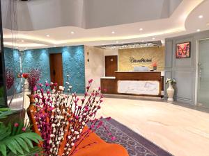 the olive hotel srinagar