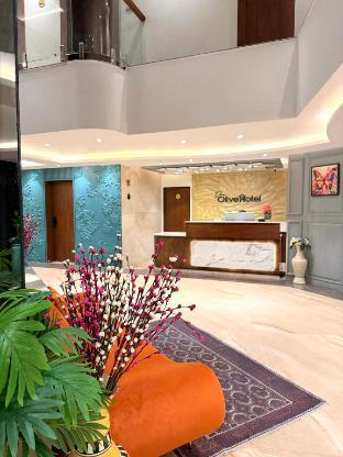 the olive hotel srinagar