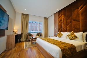 the olive hotel srinagar