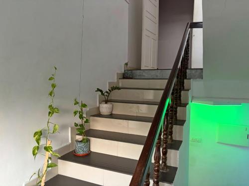 panakal residency