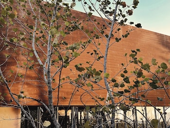 inchantreedoolay huahin