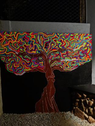 halli hithalu homestay