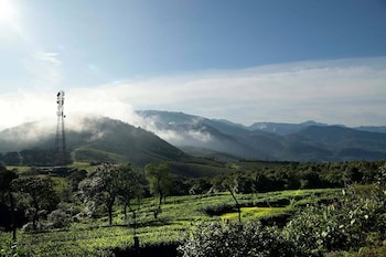 ibex resorts valparai tale rock