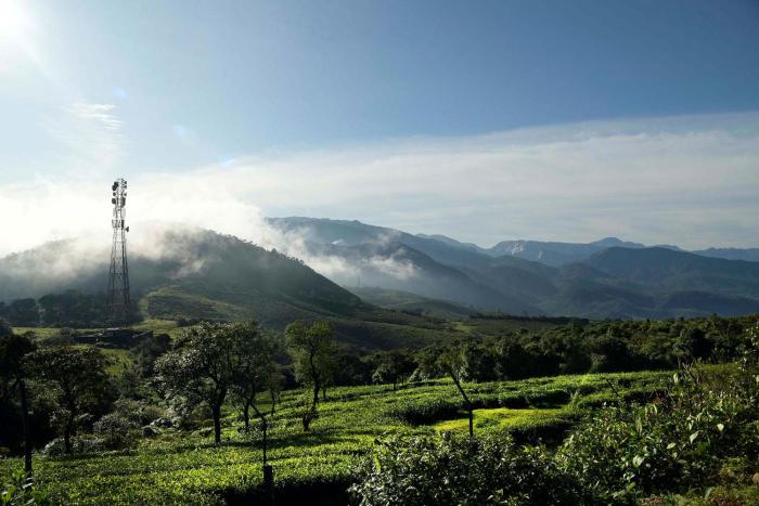 ibex resorts valparai tale rock