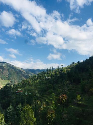 sunrise view homestay