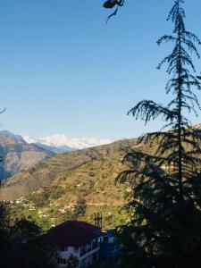 sunrise view homestay