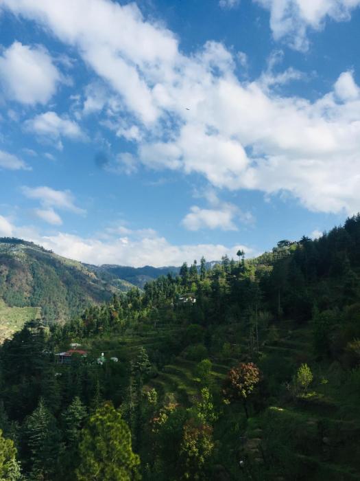 sunrise view homestay