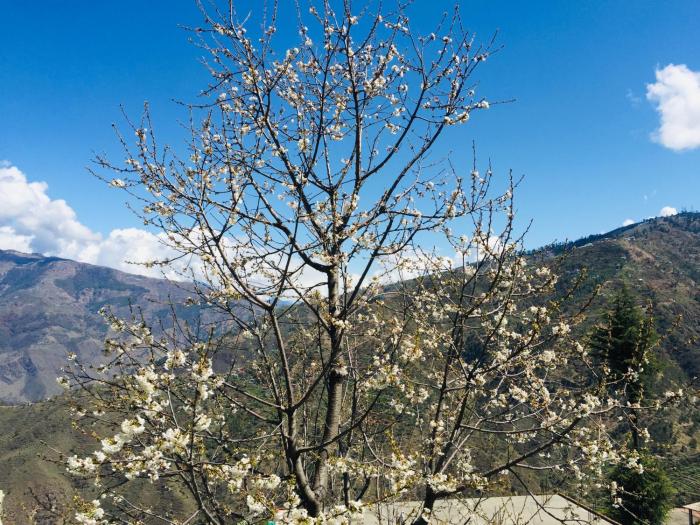 sunrise view homestay