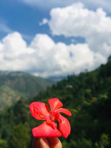 sunrise view homestay