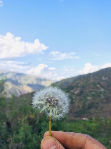 sunrise view homestay