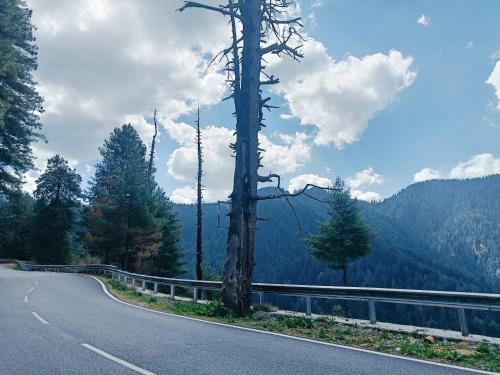 sunrise view homestay