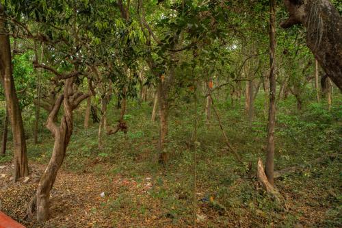 la vaiencia luxury apartments