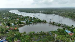 brackish kayal resort