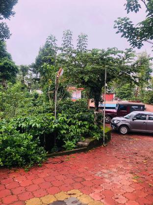 swapna estate stay coorg