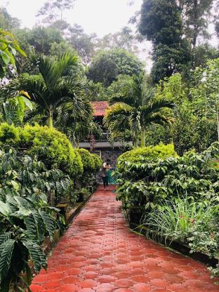 swapna estate stay coorg