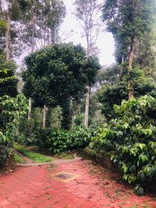 swapna estate stay coorg